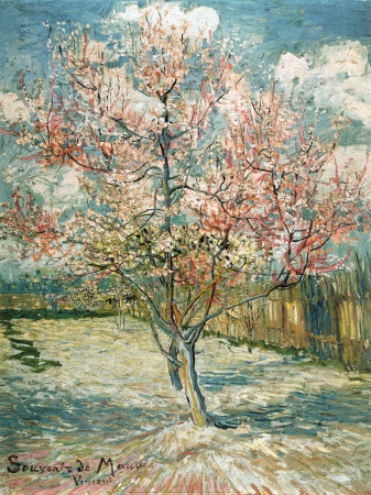 Peach Tree in Bloom at Arles, c.1888